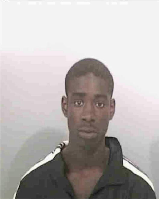HANSON, TERRANCE MARTEZ - Peoria County, IL