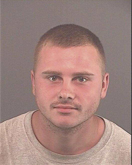 BRADSHAW, RYAN - Peoria County, IL