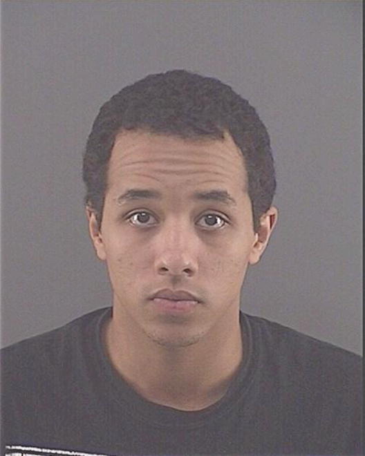HOLEMAN, JASON M - Peoria County, IL