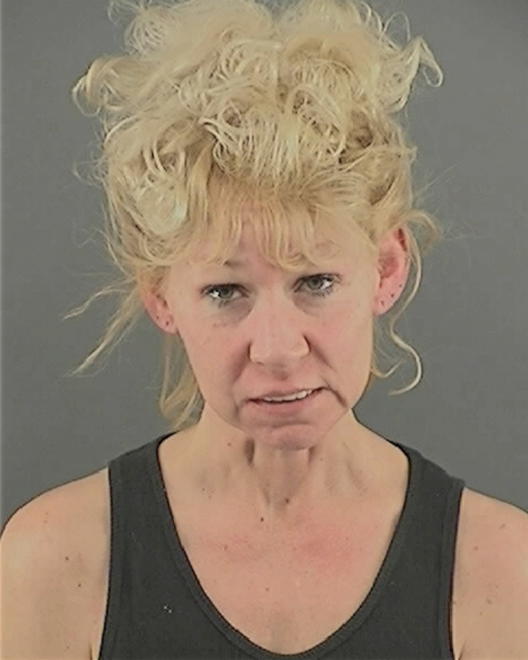 MEDVESKY, ANGELA RENEE - Peoria County, IL