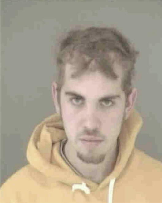 SALAMON, PAUL MICHAEL - Peoria County, IL