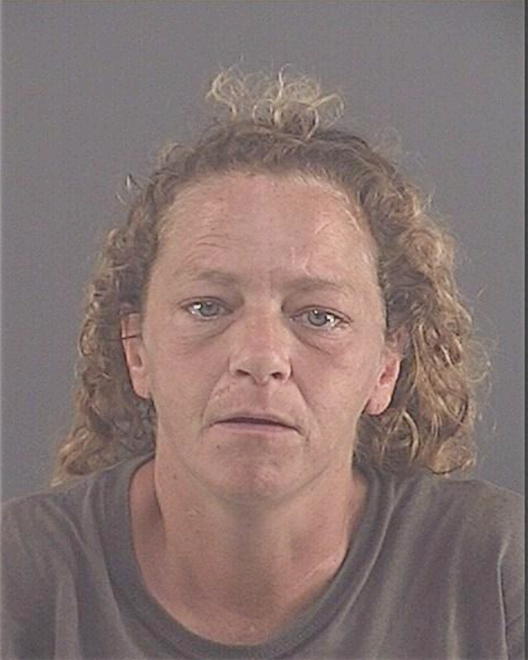 YEDINAK, THERESA LYNN - Peoria County, IL
