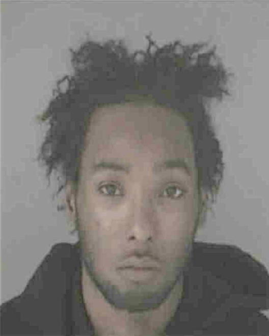 JOHNSON, DAVID DEANDRE - Peoria County, IL