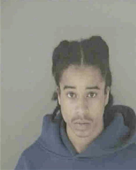 JOHNSON, RAYMOND LORENZO - Peoria County, IL