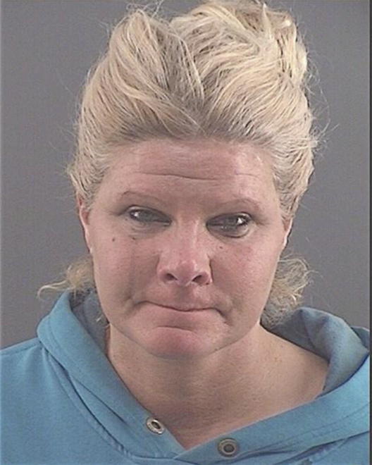 KOEPPEL, HEIDI MARIE - Peoria County, IL