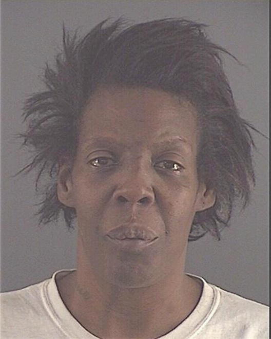 HOLLINS, CAROLYN - Peoria County, IL
