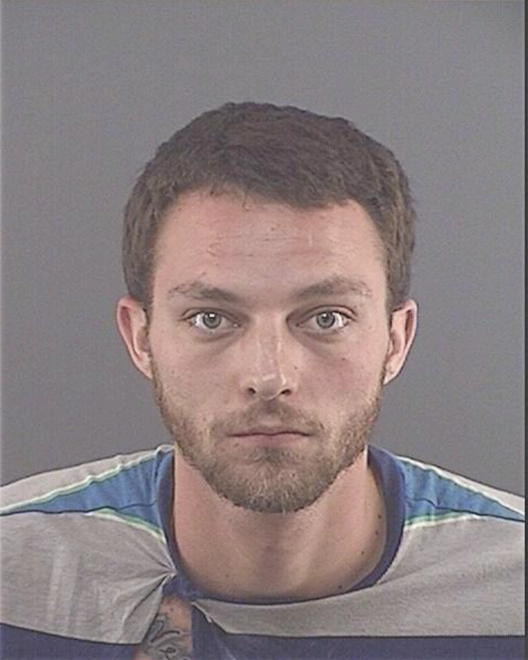 DIVELEY, BRANSON N - Peoria County, IL
