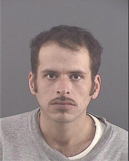 NYARI, TIMOTHY ALLAN - Peoria County, IL
