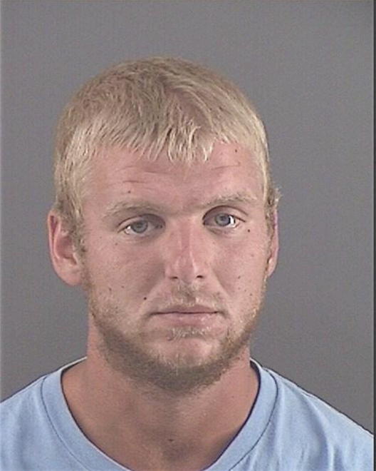 ANDERSON, NICHOLAS N - Peoria County, IL
