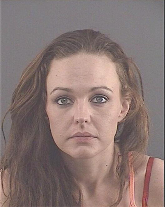 TURNER, APRIL MICHELLE - Peoria County, IL