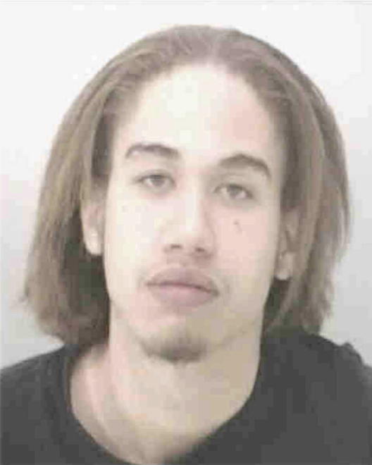 POWELL, CHRISTIAN MARCELL - Peoria County, IL