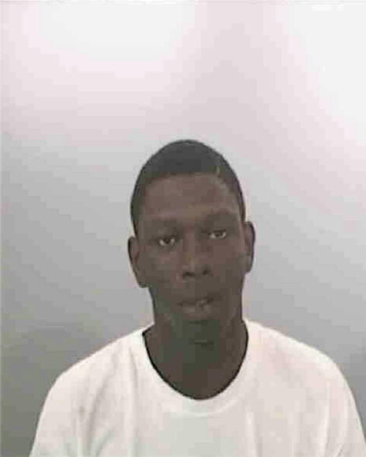 YOUNG, ANTIONE DEWAYNE - Peoria County, IL