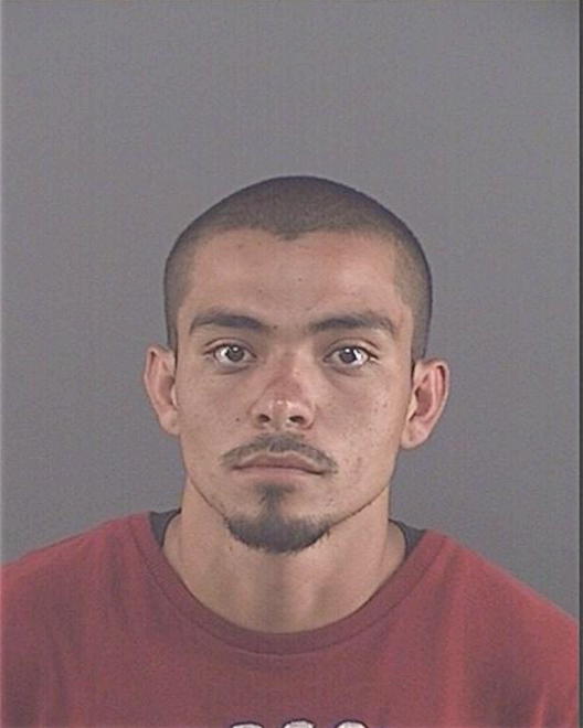 LOZOLLA, PEDRO D - Peoria County, IL
