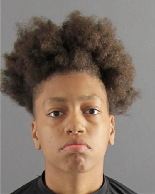 KING, JOSHILYN DPC - Peoria County, IL