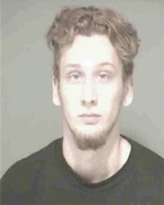 COOK, BRYCE LELAND - Peoria County, IL