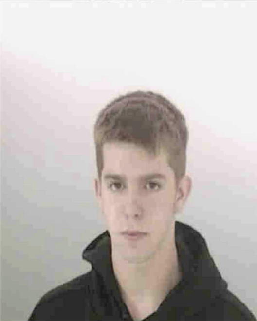 HALBERG, GARY LEE - Peoria County, IL