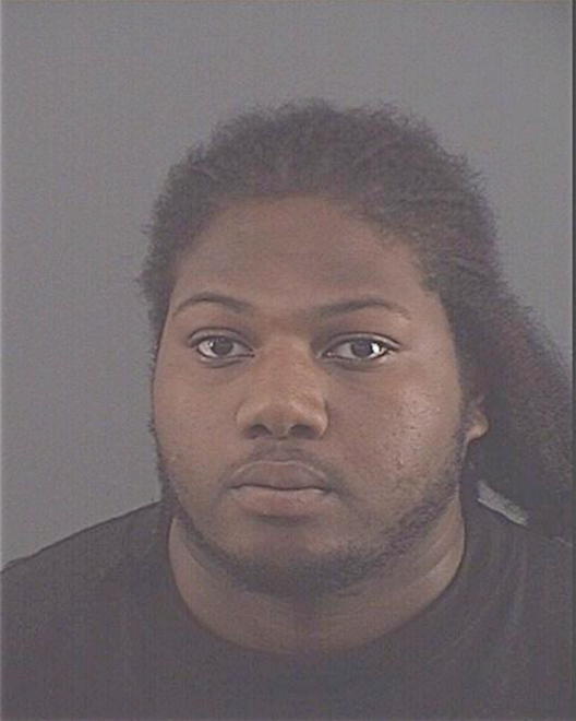 COLEMAN, STATAVIAN N - Peoria County, IL