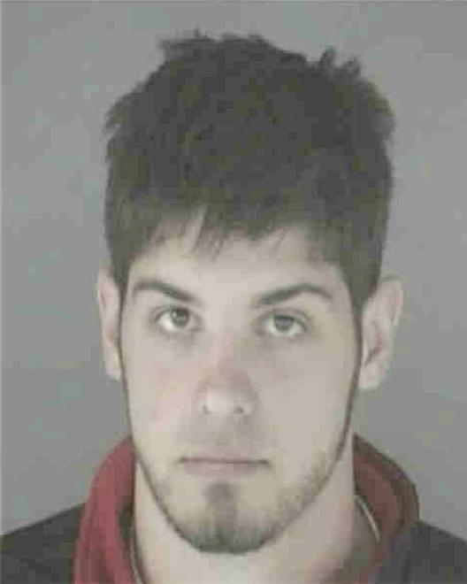 SHOEMAKER, DAVID COLE - Peoria County, IL
