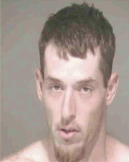 BRASWELL, RODNEY D - Peoria County, IL