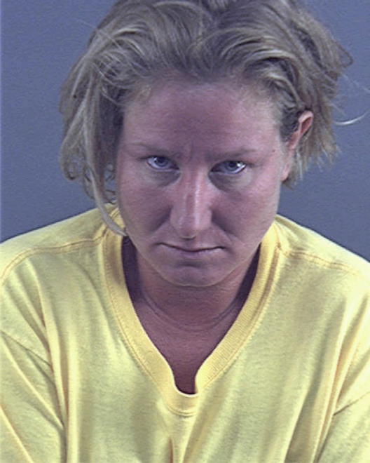 HILLIARD, ERICA L - Peoria County, IL