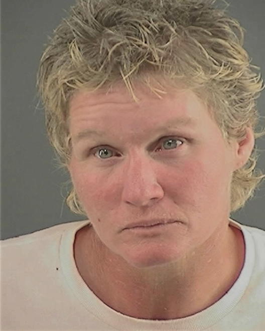 POWELL, TONYA LYNN - Peoria County, IL
