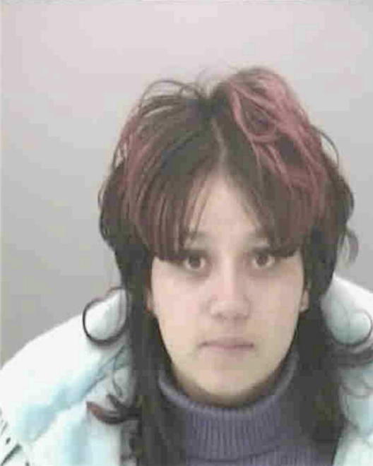STRAKER, MICHELLE LEE - Peoria County, IL