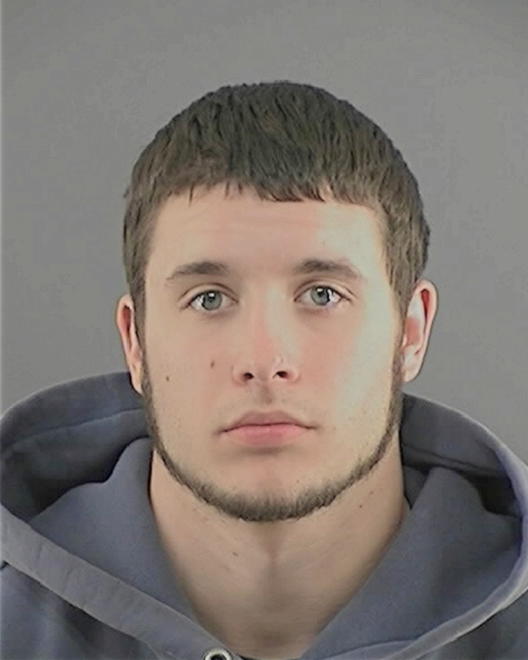 BANKO, RYAN N - Peoria County, IL