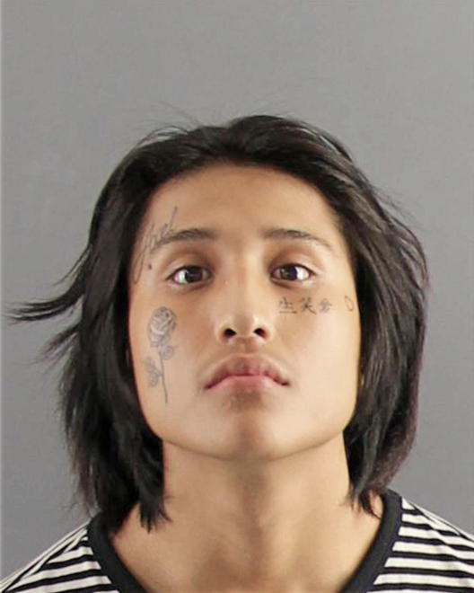ANOTA, MARCO ANTONIO - Peoria County, IL