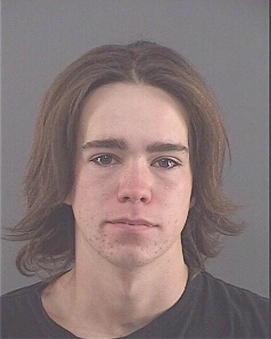 MOUSHON, NICHOLAS A - Peoria County, IL