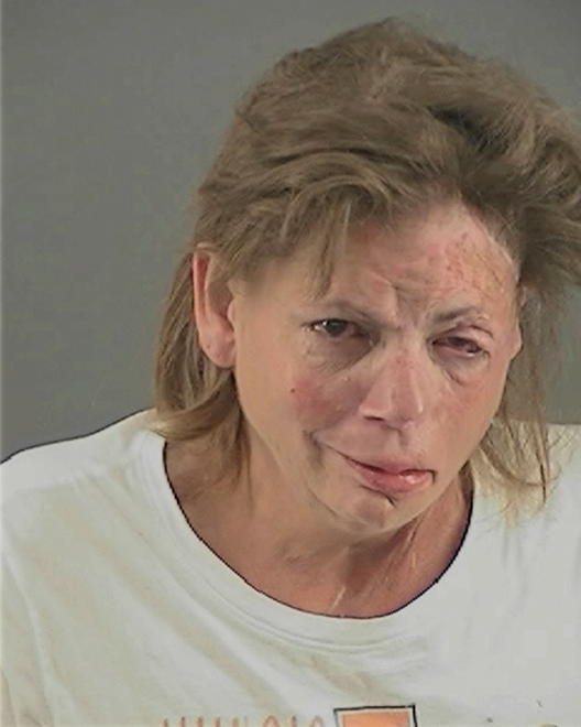 FREEMAN, MICHELLE LYNN - Peoria County, IL