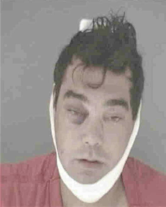 PALUMBO, JOHN GAVIN - Peoria County, IL