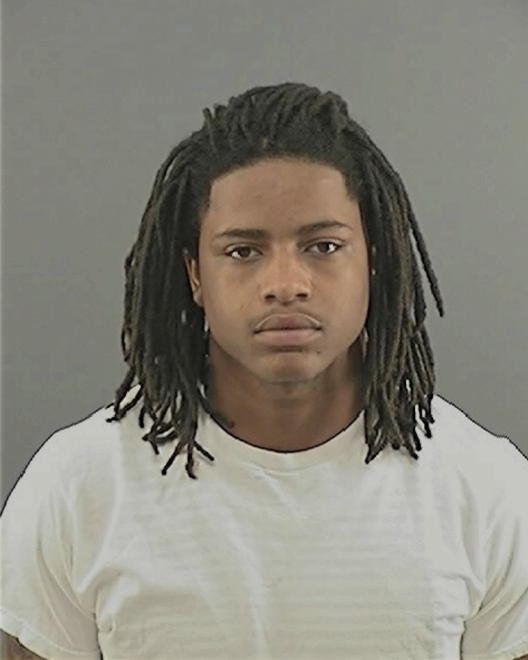 HAYES, TORREAN STEWART - Peoria County, IL