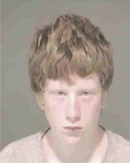 WISNER, MICHAEL S - Peoria County, IL