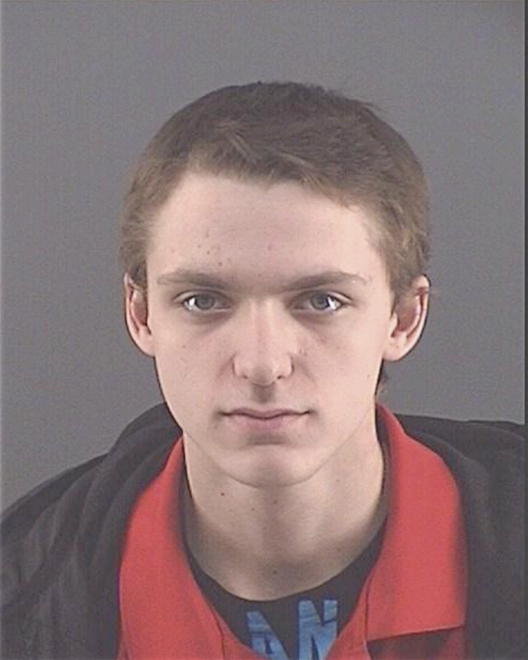 MORGAN, DOMINICK MICHAEL - Peoria County, IL