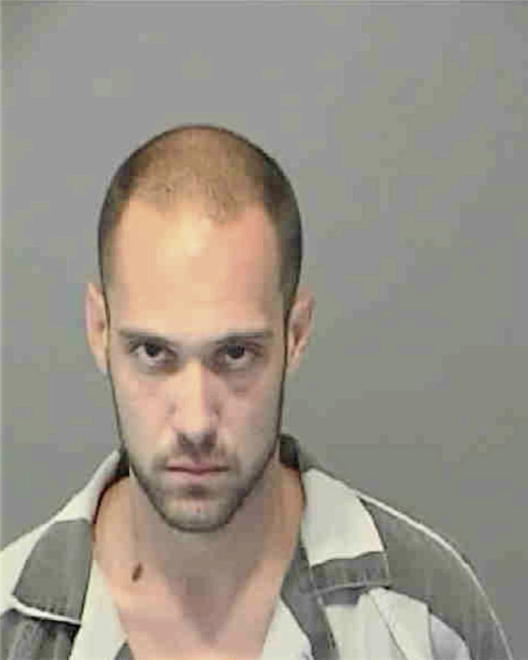 HALLFORD, MICHAEL JOSEPH - Peoria County, IL