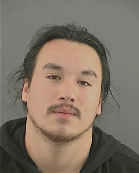 NGUYEN, ANTHONY CEDRIC - Peoria County, IL