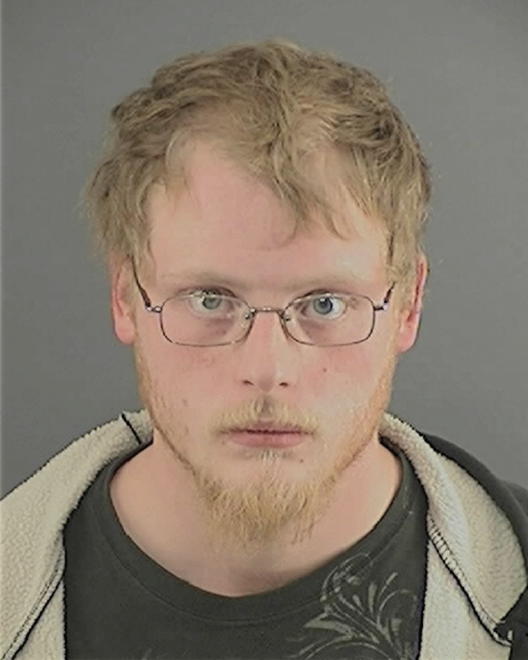 LEVIN, ELIJAH SCOTT - Peoria County, IL