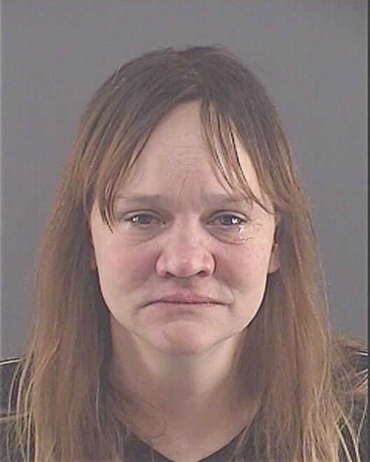 HOLT, LISA MARIE - Peoria County, IL