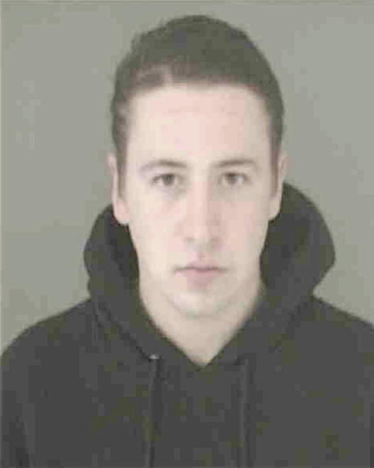 HALLOR, CHRISTOPHER RYAN - Peoria County, IL