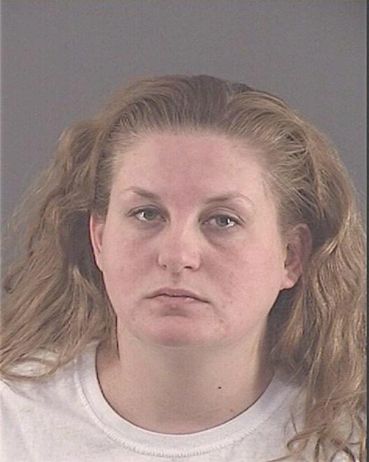 HOLZINGER, SHANNON L - Peoria County, IL
