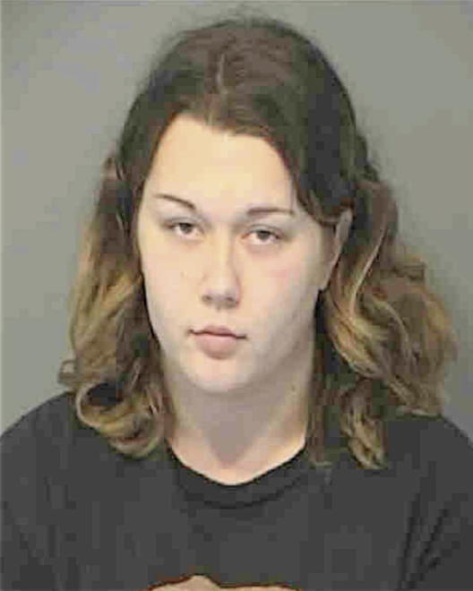 SCHMITZ, JAMIE LYNN - Peoria County, IL