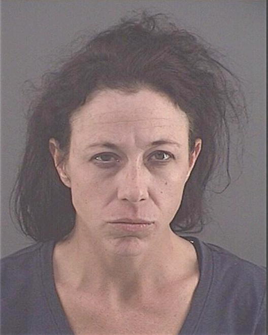 TOMBLIN, RENEE NICHOLE - Peoria County, IL