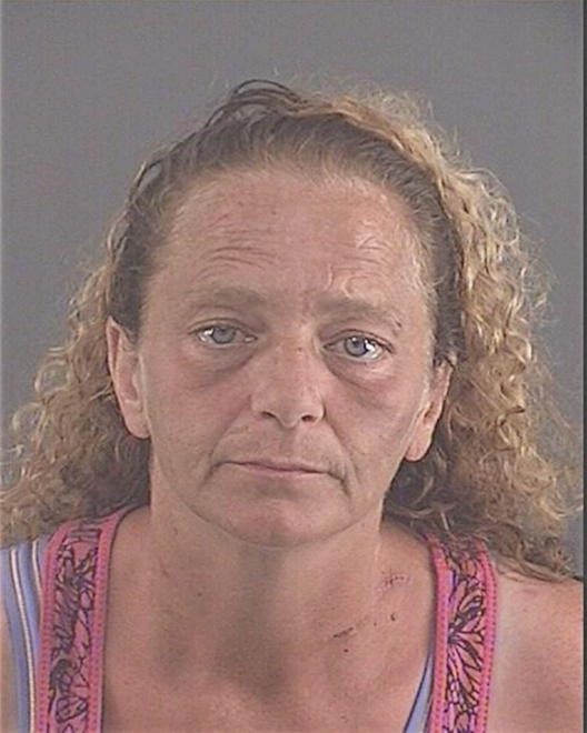 YEDINAK, THERESA LYNN - Peoria County, IL