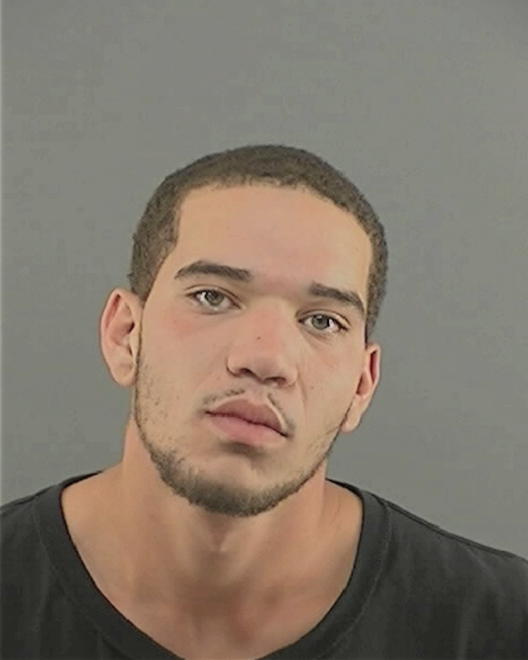 MONTGOMERY, CHRISTOPHER MANNING - Peoria County, IL