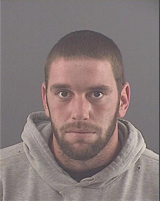 PARLIER, STEVEN C - Peoria County, IL