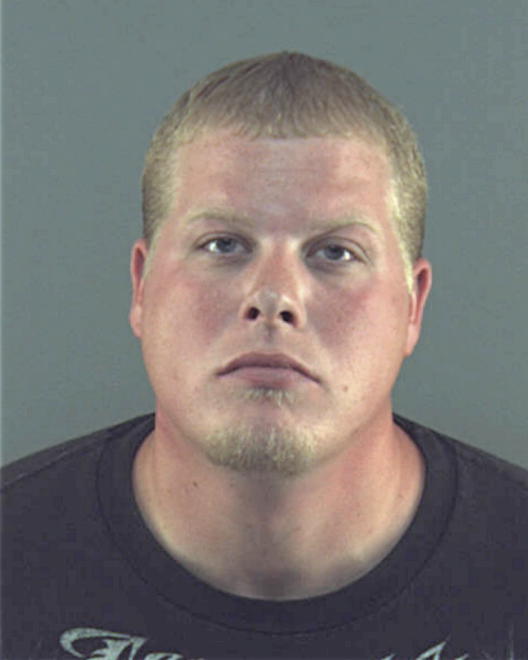 WERNOWSKY, ALAN D - Peoria County, IL