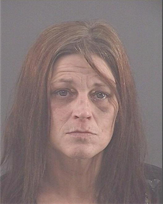 SCOHY, KIMBERLY ANN - Peoria County, IL