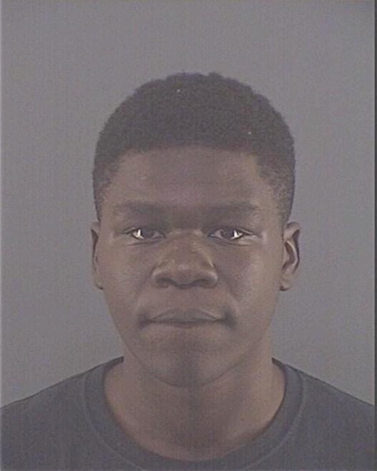 LEWIS, JAMON M - Peoria County, IL
