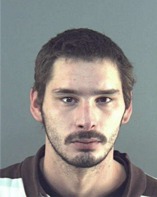 LONG, TRAVIS A - Peoria County, IL