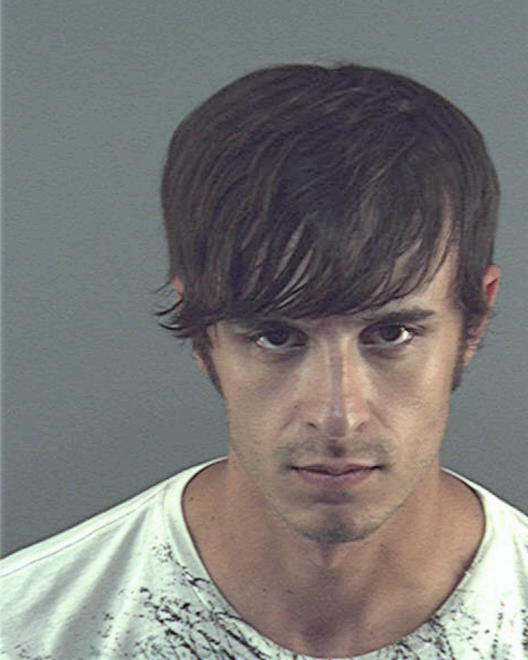 CALLARMAN, JASON R - Peoria County, IL